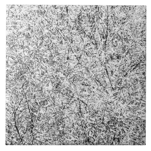 Wilde boombladeren. Abstracte Natuur Tegeltje (Voorkant)
