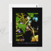 Wilde bosbessen briefkaart (Voorkant / Achterkant)