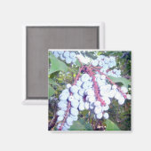 Wilde bosbessen magneet (Voorkant / Achterkant)