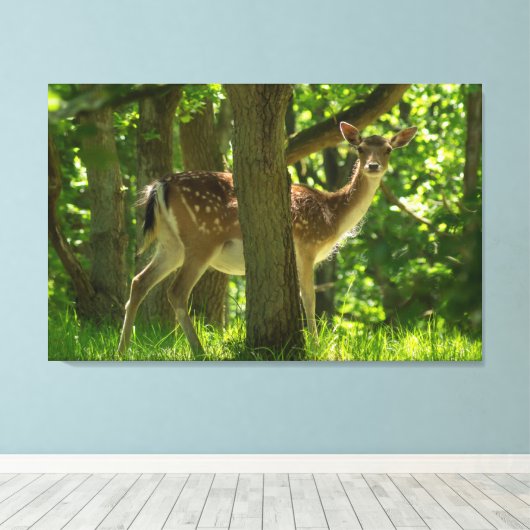 Wilde braaklaag in bossen tussen bomen canvas afdruk (Insitu (Houten vloer))