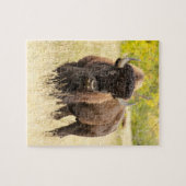 Wilde Buffalo in een veld Legpuzzel (Horizontaal)