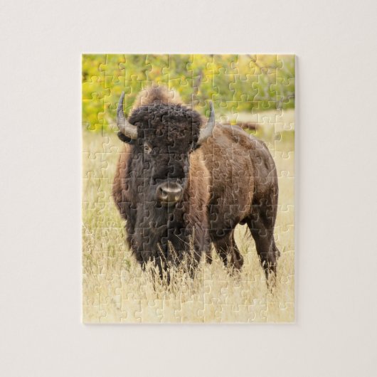 Wilde Buffalo in een veld Legpuzzel (Verticaal)