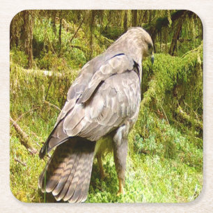 Wilde Buizerd Foeragerende Scene Gedetailleerde Vo Vierkante Kartonnen Onderzetter