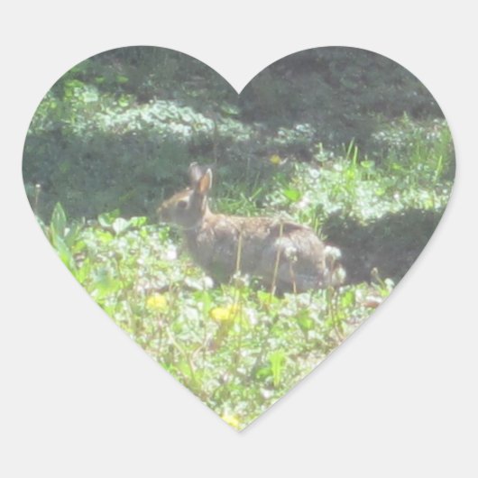 Wilde Bunny-Stickers — Datablad van 20 Hart Sticker (Voorkant)