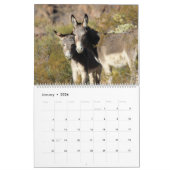 Wilde Burros van de Zwarte Bergen Kalender (Jan 2026)