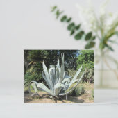 Wilde Cactus Briefkaart (Staand voorkant)