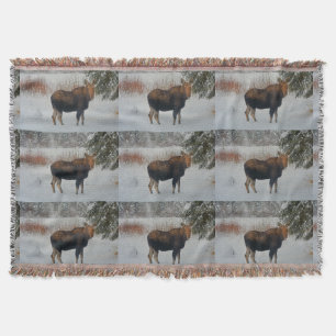 Wilde Canadese gans in Winter Snow IV Deken