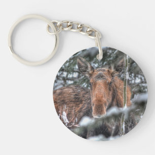 Wilde Canadese Moose in Winter Forest Sleutelhanger