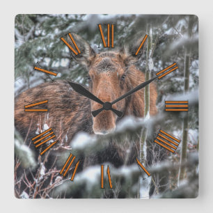 Wilde Canadese Moose in Winter Forest Vierkante Klok