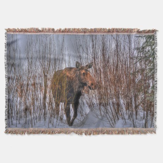 Wilde Canadese Moose in Winter Snow I Deken (Voorkant)