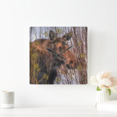Wilde Canadese Moose in Winter Snow I Vierkante Klok (Huis)