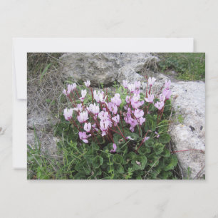 Wilde Cyclamen Feestdagenkaart