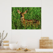 Wilde dieren 11 gepompt poster (Keuken)