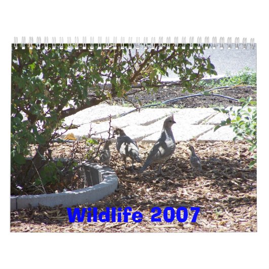 Wilde dieren 2007 kalender (Hoes)