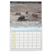 Wilde dieren 2007 kalender (Feb 2026)