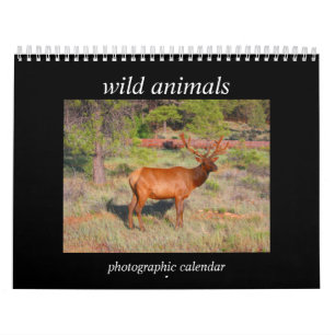 wilde dieren 2026 kalender
