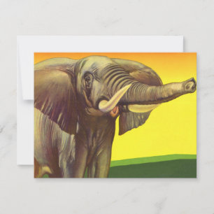  wilde dieren, Afrikaanse olifant met zonsondergan