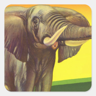  wilde dieren, Afrikaanse olifant met zonsondergan Vierkante Sticker
