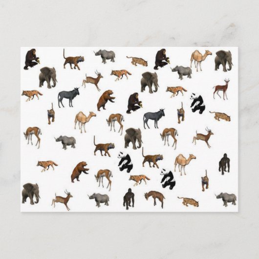 Wilde dieren briefkaart (Voorkant)