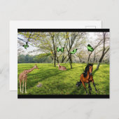 Wilde dieren briefkaart (Voorkant / Achterkant)