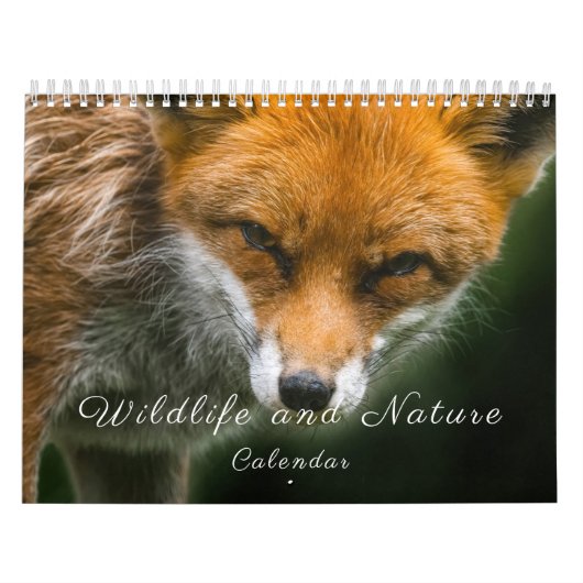 Wilde dieren en natuur kalender (Hoes)