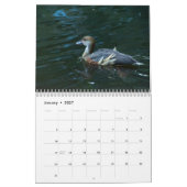 Wilde dieren en natuur kalender (Jan 2027)