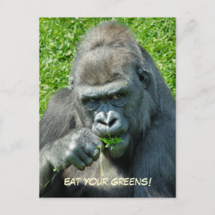 WILDE DIEREN - GORILLAS BRIEFKAART