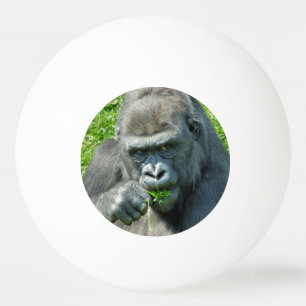 WILDE DIEREN - GORILLAS PINGPONGBALLEN