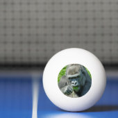 WILDE DIEREN - GORILLAS PINGPONGBALLEN (Net)