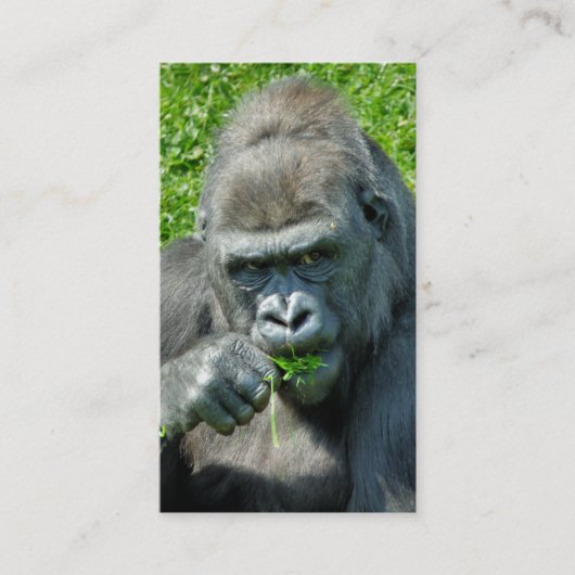 WILDE DIEREN - GORILLAS VISITEKAARTJE (Voorkant)