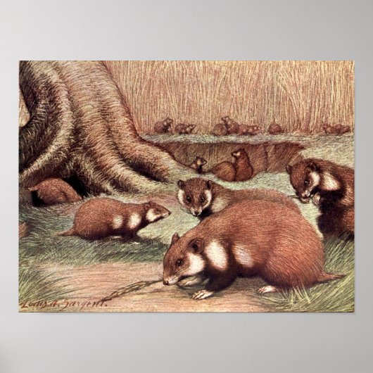 wilde dieren, Hamsters van Louis Sargent Poster (Voorkant)