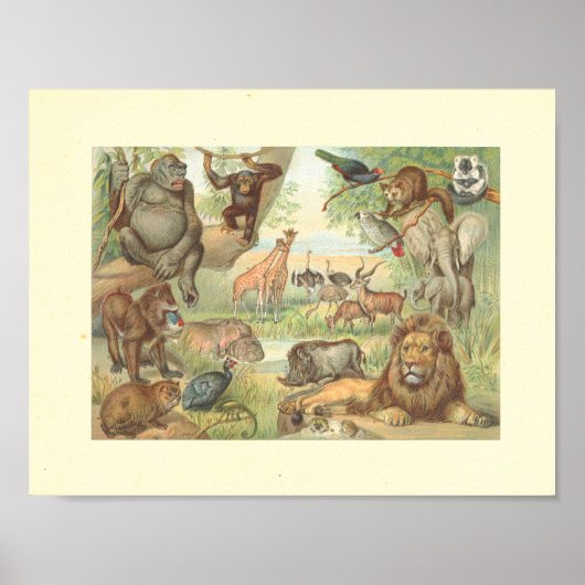 Wilde dieren in Afrika Poster (Voorkant)