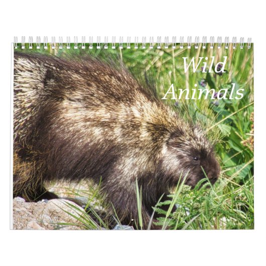 Wilde dieren kalender (Hoes)