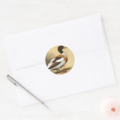  wilde dieren, Mallard Duck Ronde Sticker (Envelop)