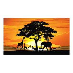 Wilde dieren op de Afrikaanse Savanna Sunset Foto Afdruk