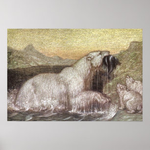  wilde dieren, Polaire Beren van Louis Sargent Poster