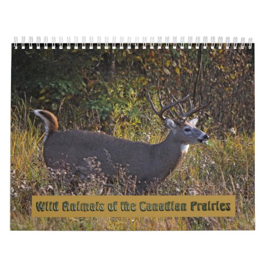 Wilde dieren van de Canadese kalender Prairies (Hoes)