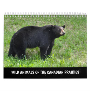 Wilde Dieren van de Canadese Prairies Agenda Kalender