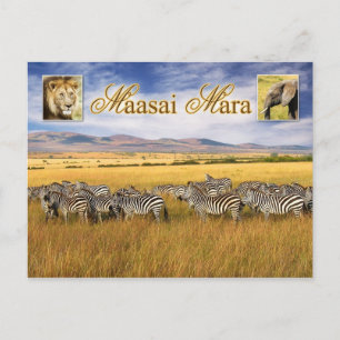 Wilde dieren van Maasai Mara in Kenia Briefkaart