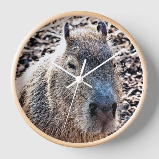 WILDE DIERLIJKE CAPYBARA (Voorkant)