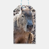WILDE DIERLIJKE CAPYBARA CADEAULABEL (Achterkant)