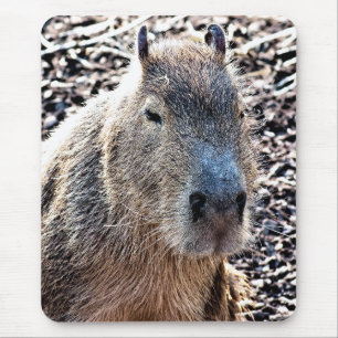 WILDE DIERLIJKE CAPYBARA MUISMAT