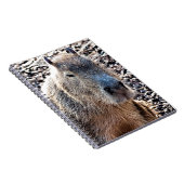 WILDE DIERLIJKE CAPYBARA NOTITIEBOEK (Rechterzijde)