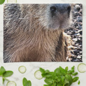 WILDE DIERLIJKE CAPYBARA THEEDOEK (Gevouwen)