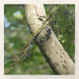 "Wilde druiven" Oorspronkelijke kunst van KAS Glazen Onderzetter