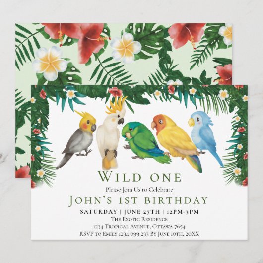 Wilde Eén Tropische Exotische Papegaaien Jongen 1e Kaart (Voorkant / Achterkant)