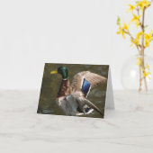 wilde eend eend ongeveer om de Kaart van de Nota (Gele Bloem)