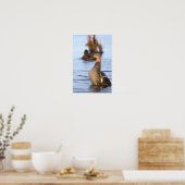 Wilde Eend Foto Poster (Keuken)