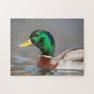 Wilde eend in de Hudson Valley Legpuzzel