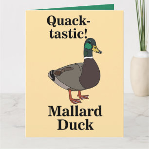 Wilde Eend Kwak-Tastische Eend Kaart